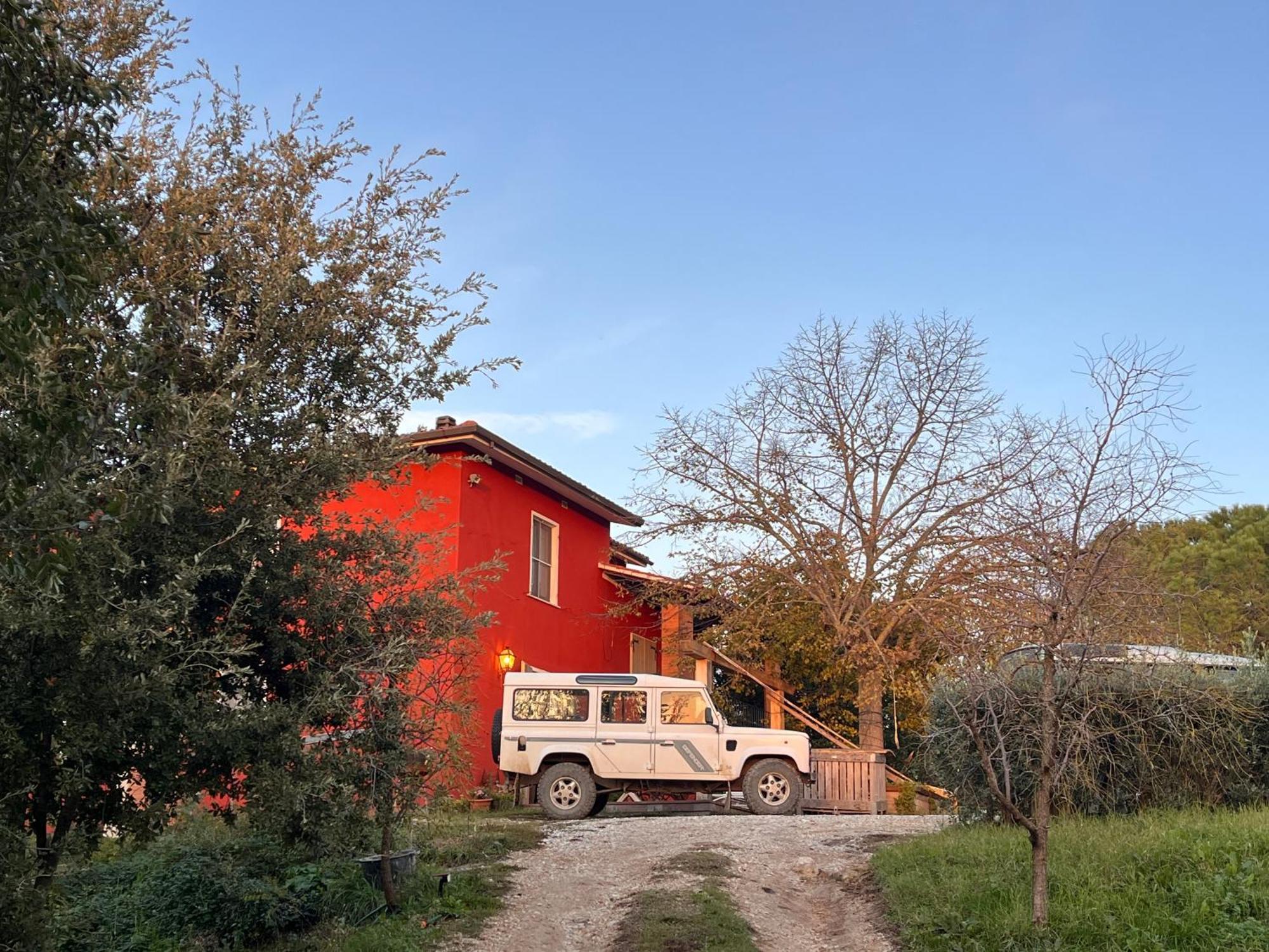 Podere Orzale Hospitality & Quarter Horses Usigliano 외부 사진